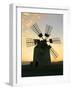 Windmill Near Tefia, Fuerteventura, Canary Islands-Peter Thompson-Framed Photographic Print