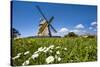 Windmill, Nebel, Amrum Island, Northern Frisia, Schleswig-Holstein, Germany-Sabine Lubenow-Stretched Canvas