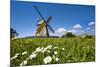 Windmill, Nebel, Amrum Island, Northern Frisia, Schleswig-Holstein, Germany-Sabine Lubenow-Mounted Photographic Print