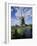 Windmill, Netherlands-David Barnes-Framed Photographic Print