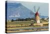 Windmill on Stagnone Lagoon in the Salt Pan Area South of Trapani-Rob Francis-Stretched Canvas