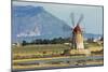 Windmill on Stagnone Lagoon in the Salt Pan Area South of Trapani-Rob Francis-Mounted Photographic Print