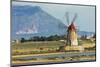 Windmill on Stagnone Lagoon in the Salt Pan Area South of Trapani-Rob Francis-Mounted Premium Photographic Print