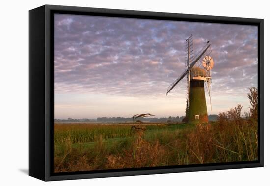 Windmill on the Norfolk Broads at Sunrise-Vince Burton-Framed Stretched Canvas