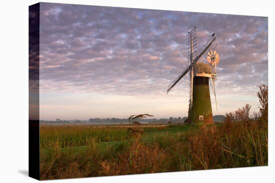 Windmill on the Norfolk Broads at Sunrise-Vince Burton-Stretched Canvas