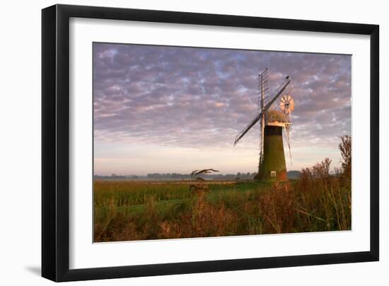 Windmill on the Norfolk Broads at Sunrise-Vince Burton-Framed Photographic Print