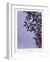 Windmill Palm-Annika John-Framed Giclee Print