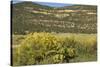 Windmill Pumping Water for Livestock, New Mexico-null-Stretched Canvas