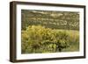 Windmill Pumping Water for Livestock, New Mexico-null-Framed Photographic Print