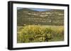 Windmill Pumping Water for Livestock, New Mexico-null-Framed Photographic Print