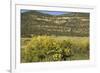 Windmill Pumping Water for Livestock, New Mexico-null-Framed Photographic Print