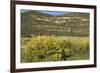 Windmill Pumping Water for Livestock, New Mexico-null-Framed Photographic Print