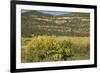 Windmill Pumping Water for Livestock, New Mexico-null-Framed Photographic Print