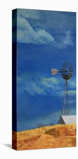 Windmill Ranch-Heidi Martin-Stretched Canvas