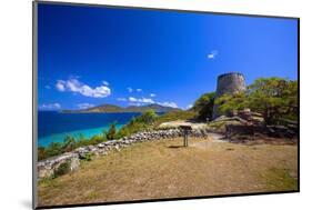 Windmill Ruins Saint John US Virgin Islands-George Oze-Mounted Photographic Print