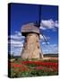 Windmill Surrounded by Red Tulips in Gauja National Park, Latvia-Janis Miglavs-Stretched Canvas