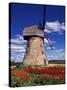 Windmill Surrounded by Red Tulips in Gauja National Park, Latvia-Janis Miglavs-Stretched Canvas