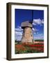 Windmill Surrounded by Red Tulips in Gauja National Park, Latvia-Janis Miglavs-Framed Photographic Print