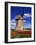 Windmill Surrounded by Red Tulips in Gauja National Park, Latvia-Janis Miglavs-Framed Photographic Print