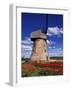 Windmill Surrounded by Red Tulips in Gauja National Park, Latvia-Janis Miglavs-Framed Photographic Print