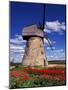 Windmill Surrounded by Red Tulips in Gauja National Park, Latvia-Janis Miglavs-Mounted Photographic Print