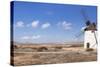 Windmill, Valles De Ortega, Fuerteventura, Canary Islands, Spain, Atlantic, Europe-Markus Lange-Stretched Canvas