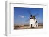 Windmill, Valles De Ortega, Fuerteventura, Canary Islands, Spain, Europe-Markus Lange-Framed Photographic Print