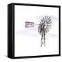 Windmill VIII-Chris Paschke-Framed Stretched Canvas
