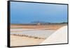 Windmill with pile of salt in the salt flats, Saline Ettore e Infersa, Marsala, Sicily-Paolo Graziosi-Framed Stretched Canvas