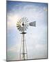 Windmill-Elizabeth Kay-Mounted Art Print
