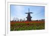 Windmill-Dole-Framed Photographic Print