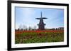 Windmill-Dole-Framed Photographic Print