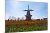 Windmill-Dole-Mounted Photographic Print