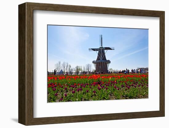 Windmill-Dole-Framed Photographic Print