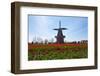 Windmill-Dole-Framed Photographic Print