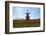 Windmill-Dole-Framed Photographic Print