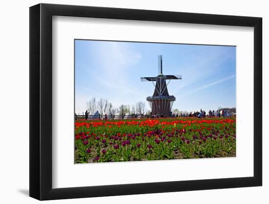 Windmill-Dole-Framed Photographic Print