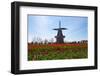 Windmill-Dole-Framed Photographic Print