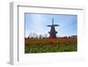 Windmill-Dole-Framed Photographic Print