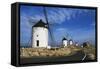 Windmills Along Road of Don Quixote-null-Framed Stretched Canvas