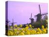 Windmills Along the Canal in Kinderdijk, Netherlands-Keren Su-Stretched Canvas