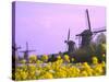 Windmills Along the Canal in Kinderdijk, Netherlands-Keren Su-Stretched Canvas