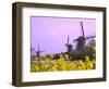 Windmills Along the Canal in Kinderdijk, Netherlands-Keren Su-Framed Photographic Print