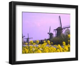 Windmills Along the Canal in Kinderdijk, Netherlands-Keren Su-Framed Photographic Print