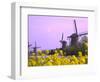 Windmills Along the Canal in Kinderdijk, Netherlands-Keren Su-Framed Photographic Print