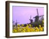 Windmills Along the Canal in Kinderdijk, Netherlands-Keren Su-Framed Photographic Print