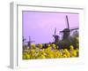 Windmills Along the Canal in Kinderdijk, Netherlands-Keren Su-Framed Photographic Print