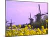 Windmills Along the Canal in Kinderdijk, Netherlands-Keren Su-Mounted Photographic Print