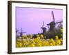 Windmills Along the Canal in Kinderdijk, Netherlands-Keren Su-Framed Photographic Print