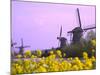 Windmills Along the Canal in Kinderdijk, Netherlands-Keren Su-Mounted Photographic Print